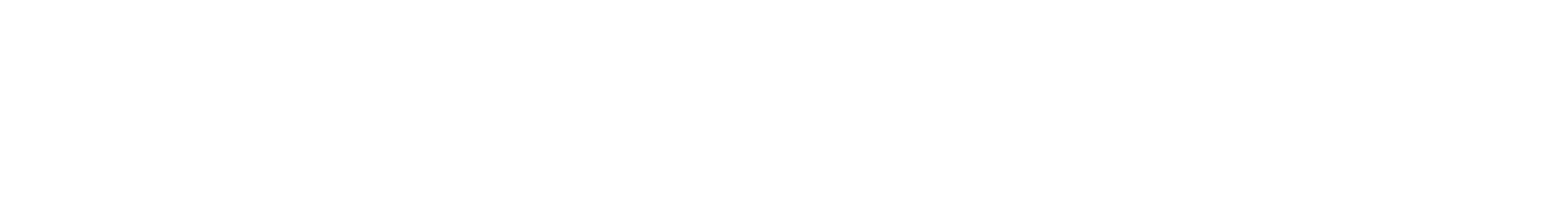 deekenSolutions Logo